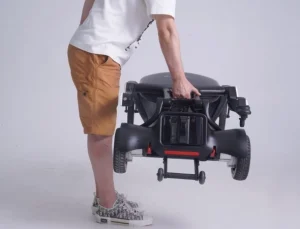 Electric Folding Scooter